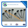 Umbrella Head Roofing Nails (ADS-RN-01)